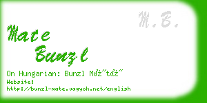 mate bunzl business card